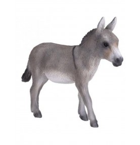 ANIMAL BURRO